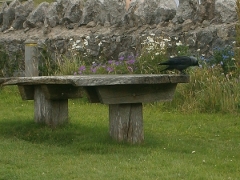 Great Orme visitors' center