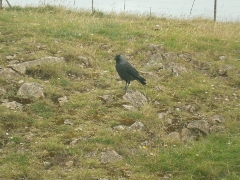 Or is it the same one?