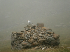 Snowdon, Miners' Trail